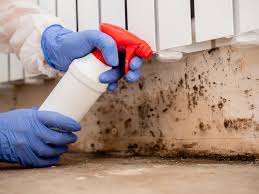 Best Mold Odor Removal Services  in Valley Falls, SC